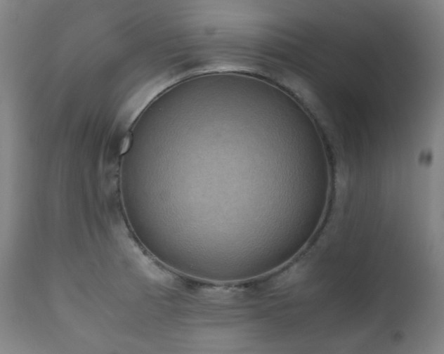 X0000111031185200906251258