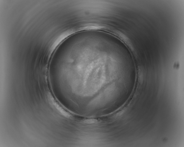 X0000111031186200906251258
