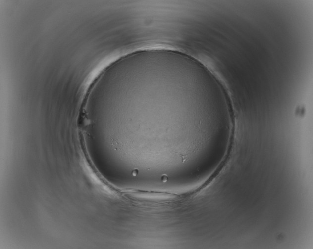 X0000111031189200906251258