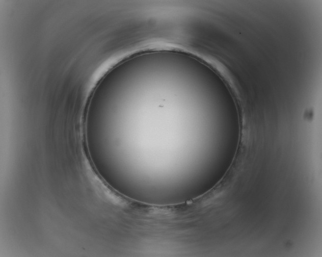 X0000111031191200906251258