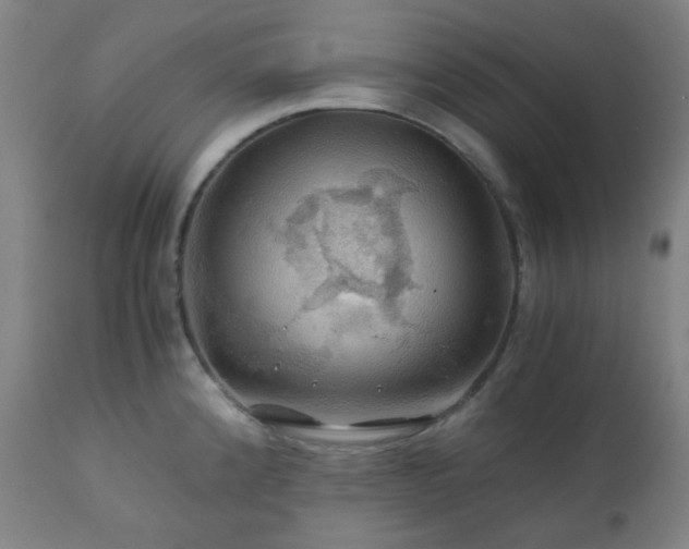 X0000111031192200906251258