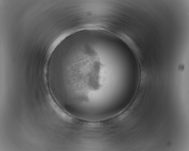 X0000111031196200906251258