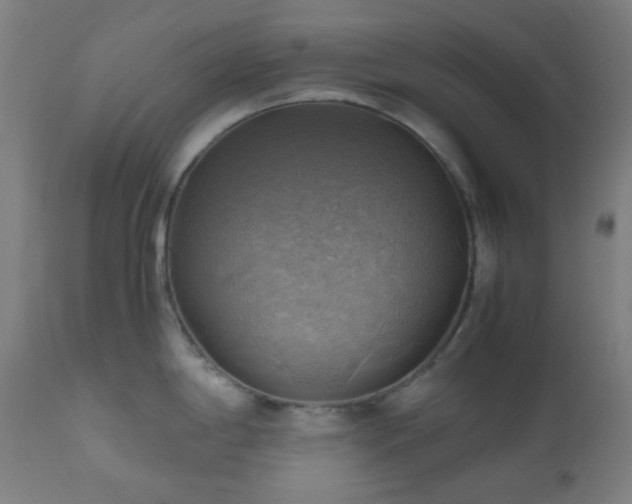 X0000111031198200906251258