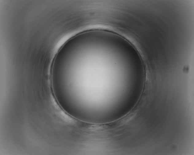 X0000111031199200906251258