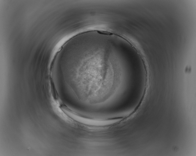 X0000111031200200906251258