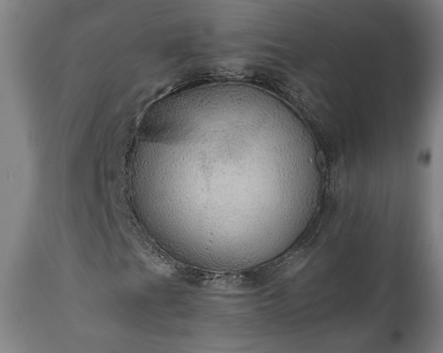 X0000111031201200906251257