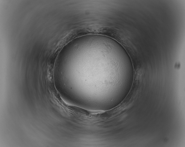 X0000111031202200906251257