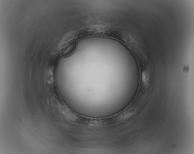 X0000111031203200906251257