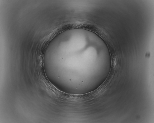 X0000111031204200906251257