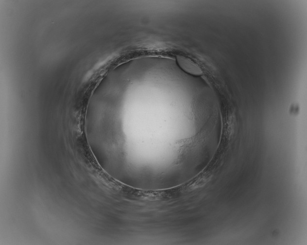 X0000111031205200906251257