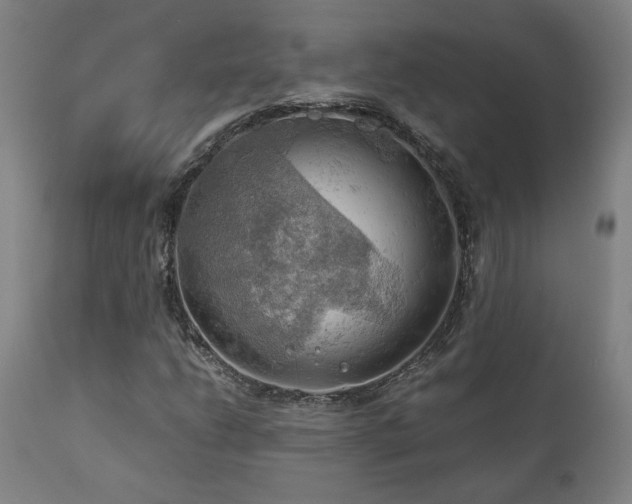 X0000111031206200906251257