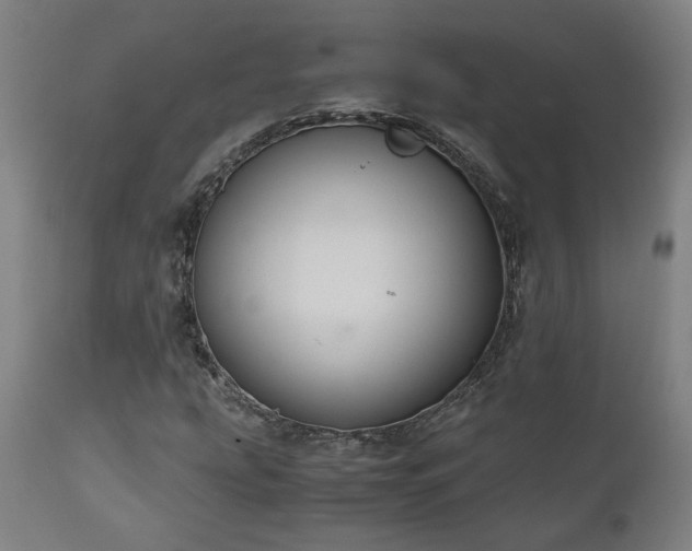 X0000111031207200906251257
