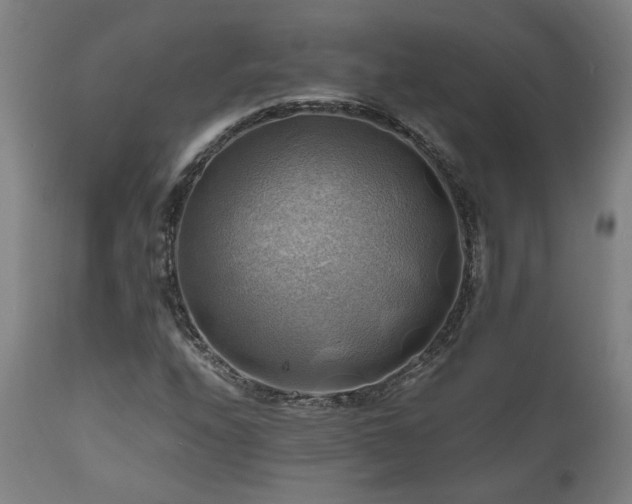 X0000111031208200906251257