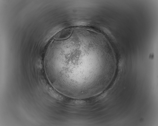 X0000111031209200906251257