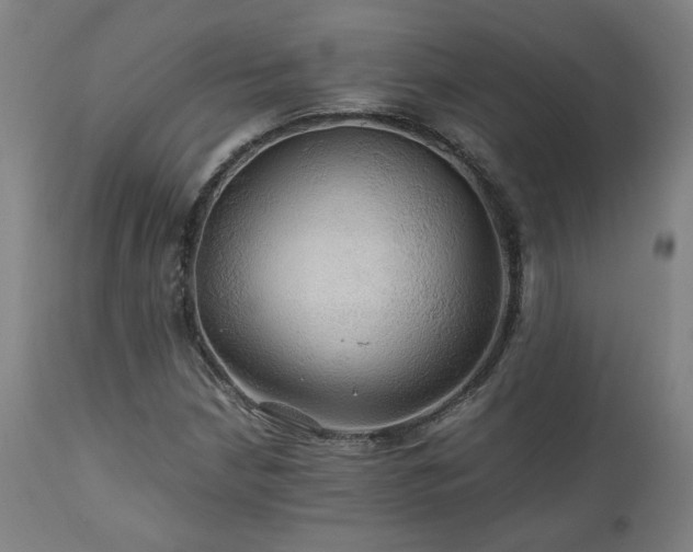 X0000111031210200906251257