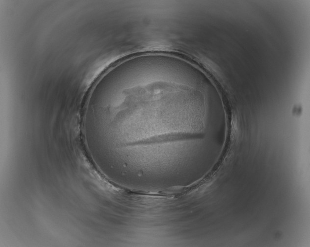 X0000111031212200906251257