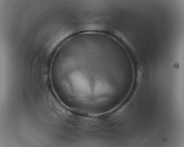 X0000111031213200906251257