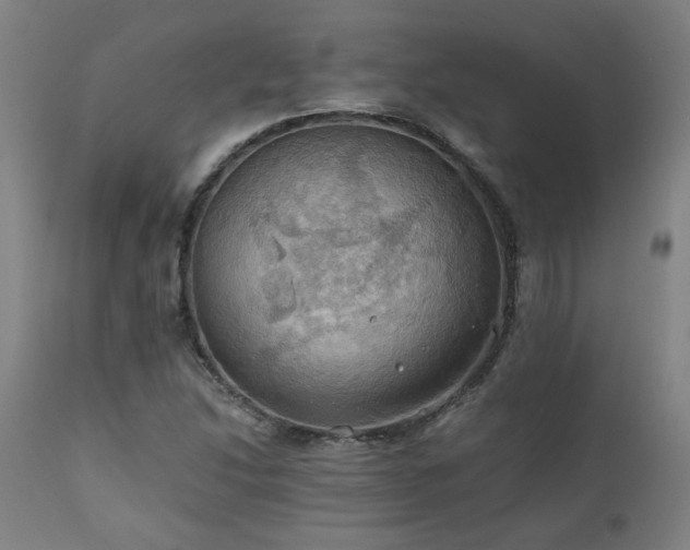 X0000111031214200906251257