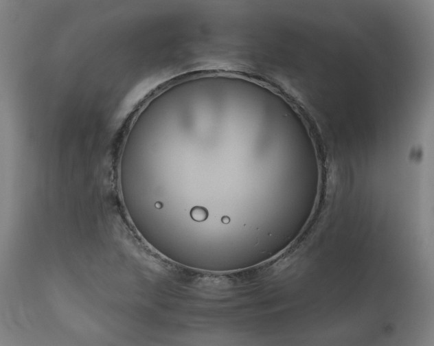 X0000111031215200906251257
