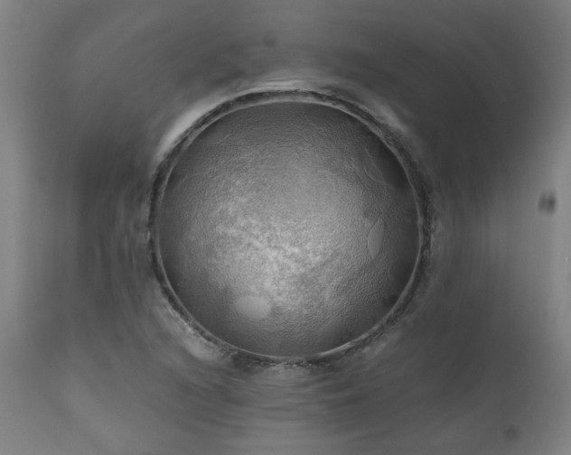 X0000111031216200906251257