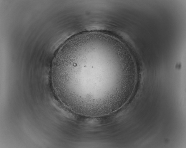X0000111031217200906251257