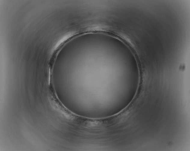 X0000111031219200906251257