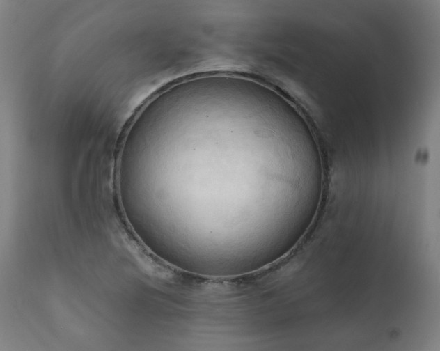 X0000111031220200906251257