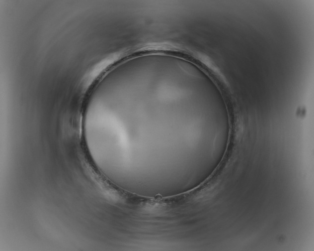 X0000111031221200906251257