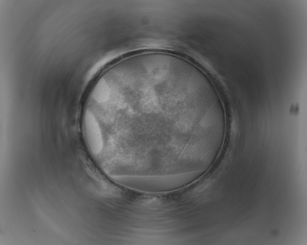 X0000111031222200906251257