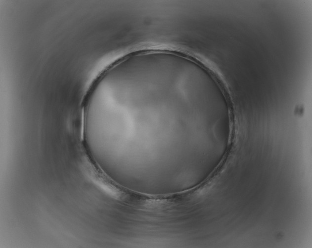X0000111031223200906251257
