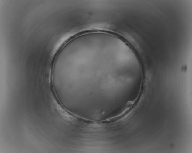 X0000111031224200906251257