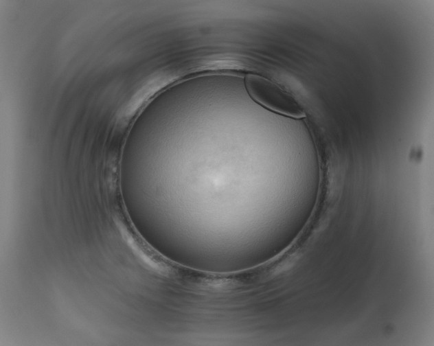 X0000111031225200906251257