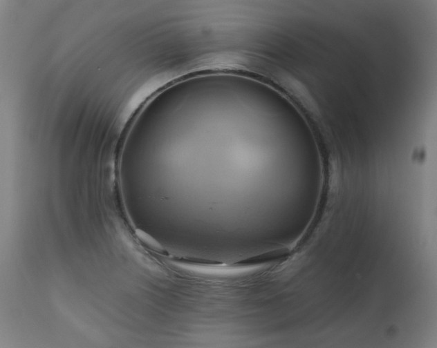 X0000111031226200906251257