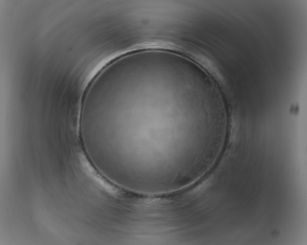 X0000111031228200906251257