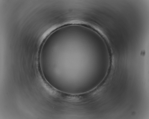 X0000111031229200906251257