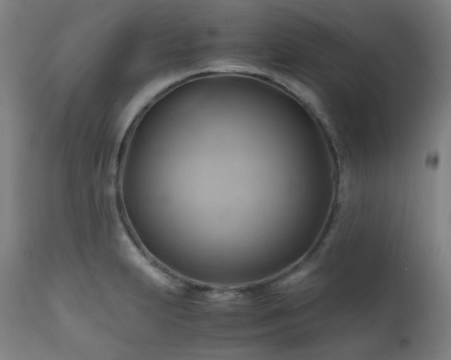 X0000111031231200906251257