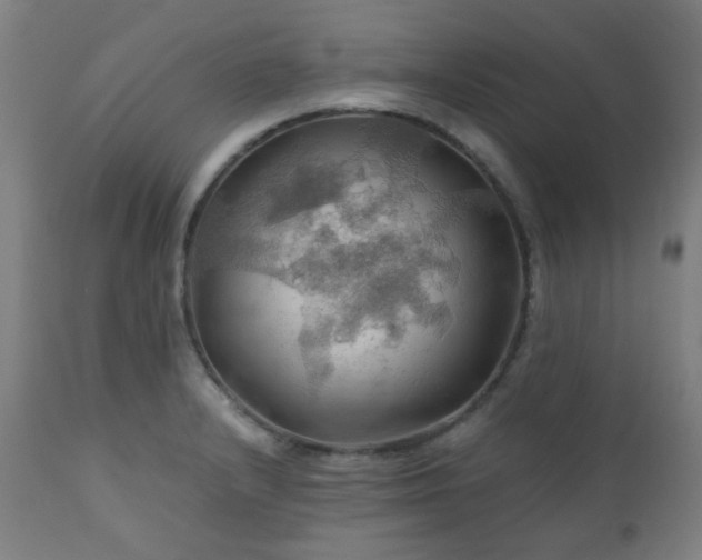 X0000111031232200906251257