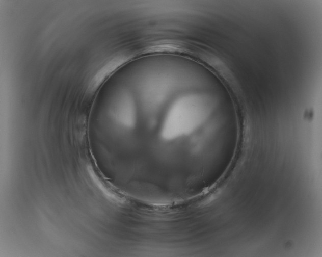 X0000111031233200906251257