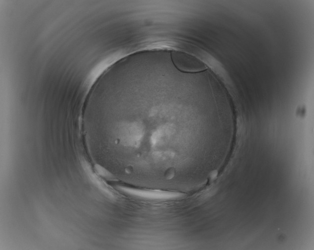 X0000111031234200906251257