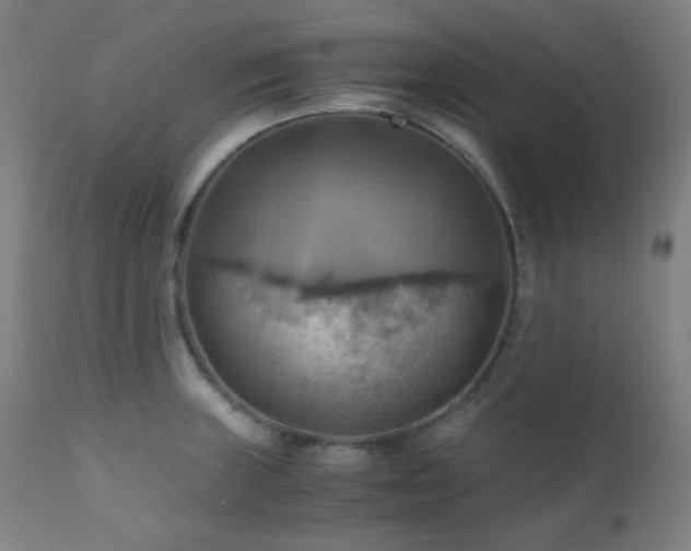 X0000111031235200906251257