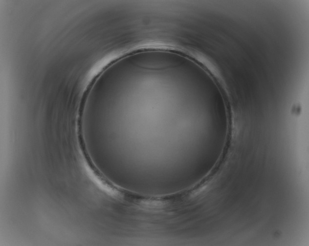 X0000111031237200906251257