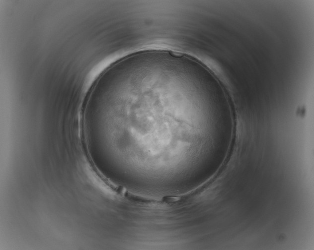 X0000111031238200906251257