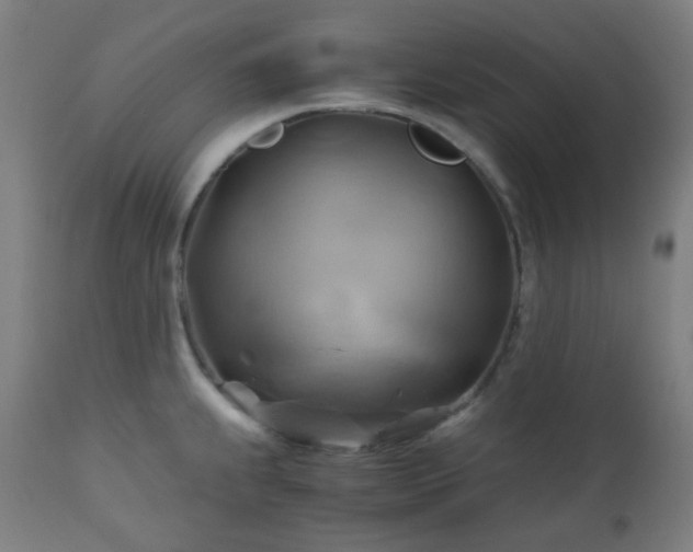 X0000111031239200906251257