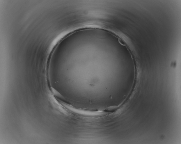 X0000111031240200906251257