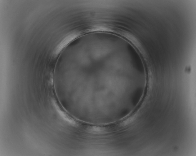 X0000111031241200906251257