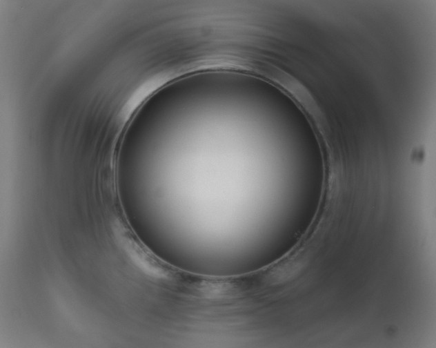 X0000111031242200906251257
