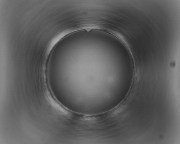 X0000111031243200906251257