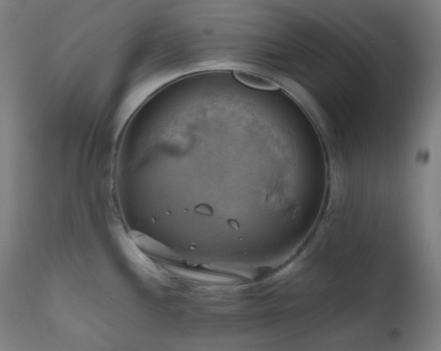 X0000111031244200906251257