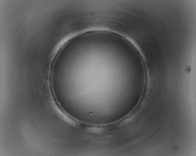 X0000111031245200906251257