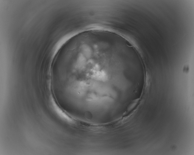 X0000111031247200906251257